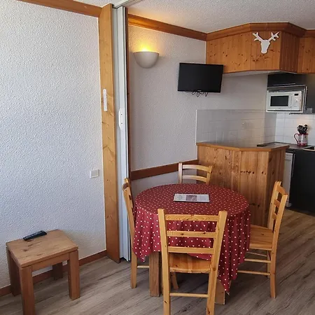 Confortable Aux Pieds Des Pistes Avec Animaux Permis - Fr-1-181-2562