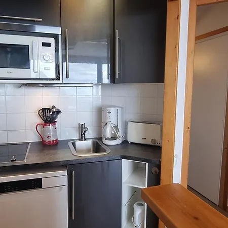 Confortable Aux Pieds Des Pistes Avec Animaux Permis - Fr-1-181-2562 *