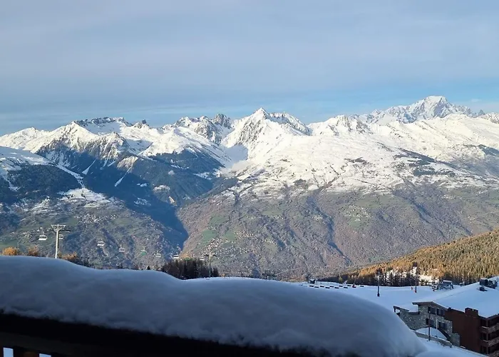 Confortable Aux Pieds Des Pistes Avec Animaux Permis - Fr-1-181-2562
