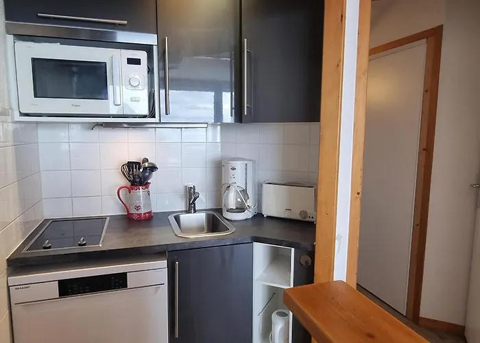 Confortable Aux Pieds Des Pistes Avec Animaux Permis - Fr-1-181-2562 *