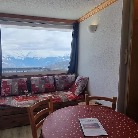 Confortable Aux Pieds Des Pistes Avec Animaux Permis La Plagne