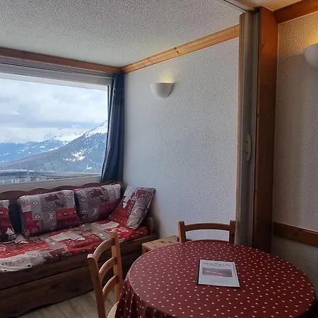 Confortable Aux Pieds Des Pistes Avec Animaux Permis - Fr-1-181-2562 * La Plagne