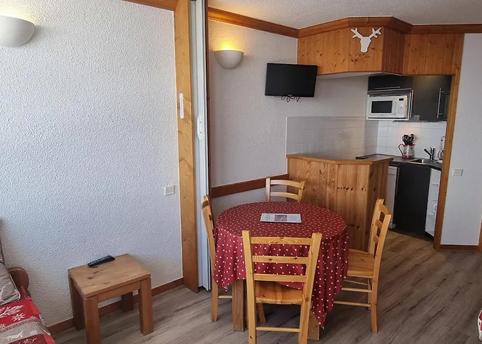 Confortable Aux Pieds Des Pistes Avec Animaux Permis - Fr-1-181-2562